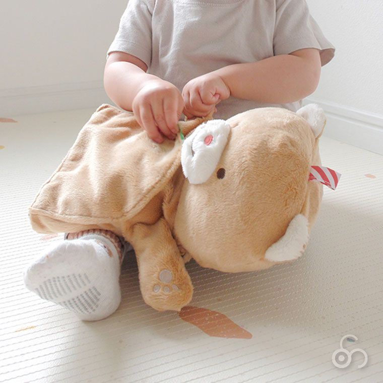 楽天市場】エドインター ジェニ GENI ぽけっとぱぺっと 4941746828458