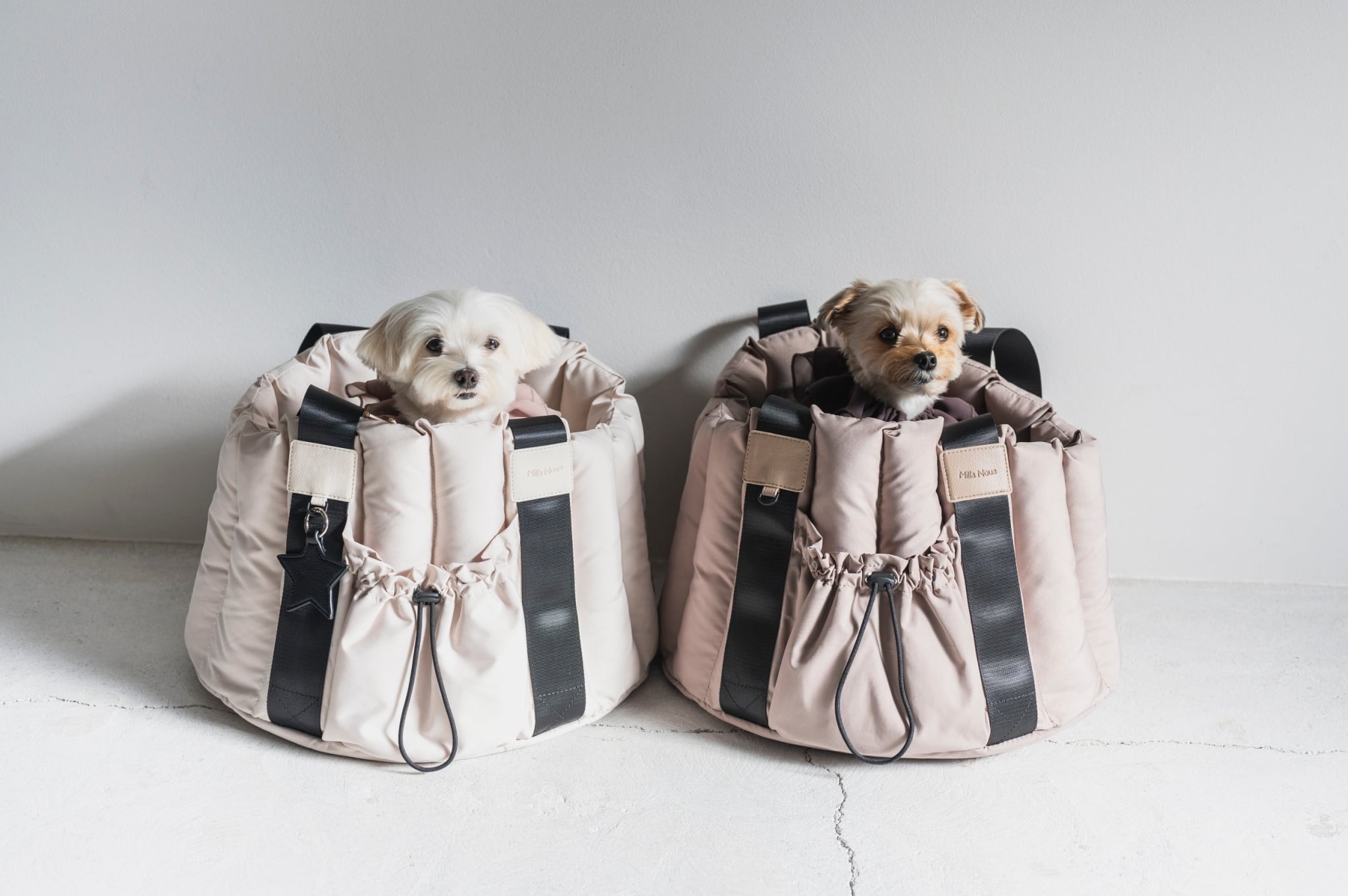 楽天市場】【P3倍！】 Milla Noue ミラヌー 小型犬 ドライブベット