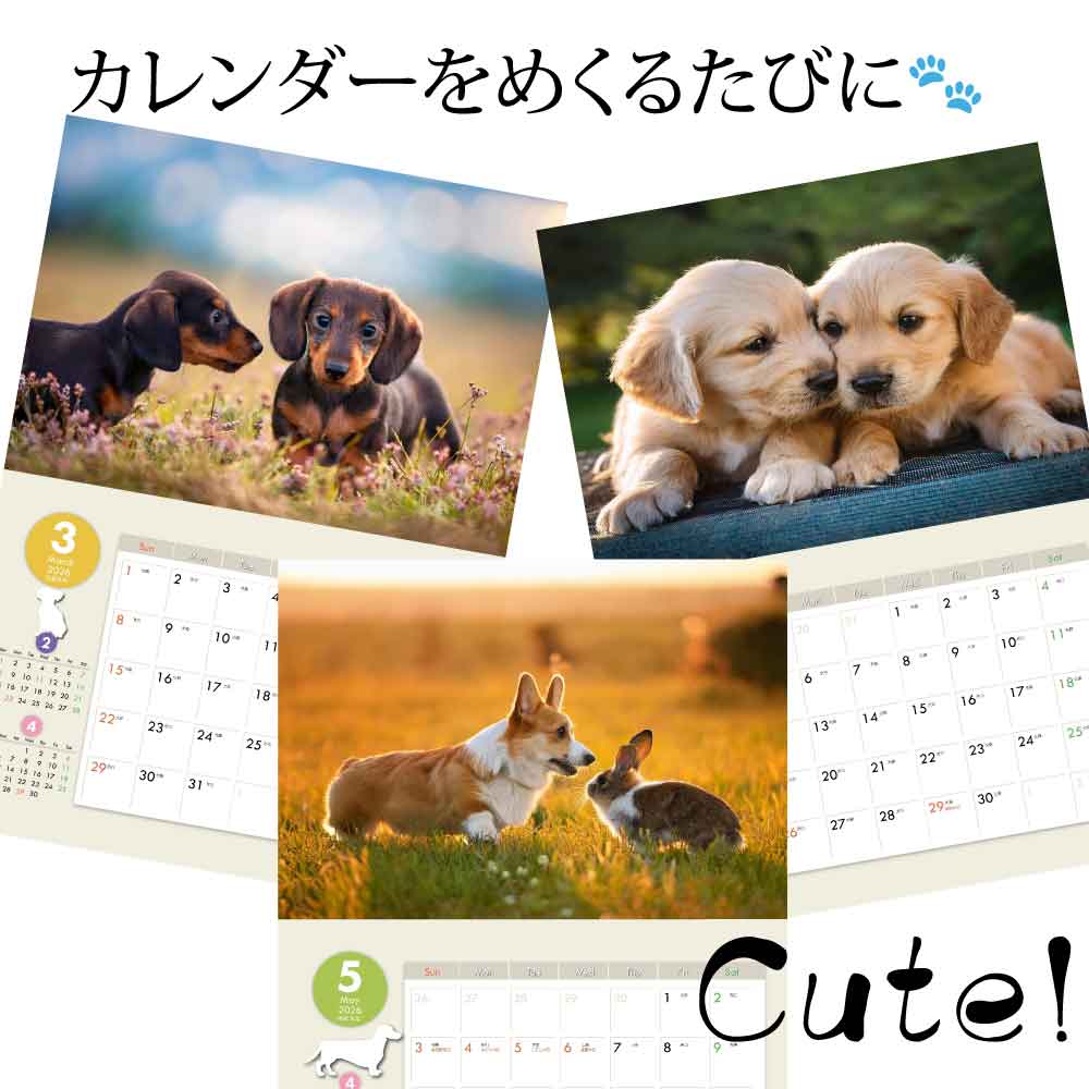 楽天市場】オリジナル犬【dog1】写真カレンダー 2026年版 - 愛らしい犬