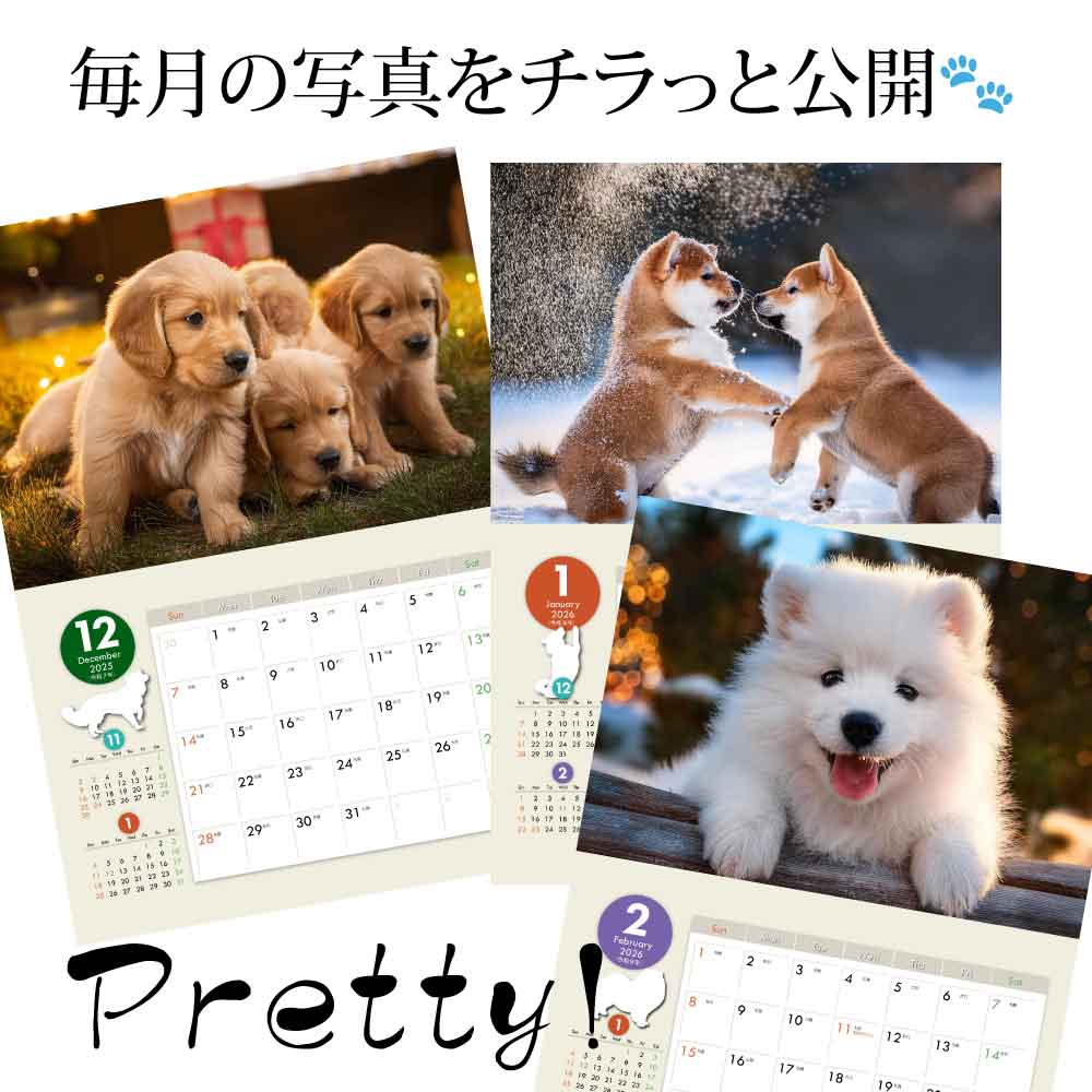 楽天市場】オリジナル犬【dog1】写真カレンダー 2026年版 - 愛らしい犬