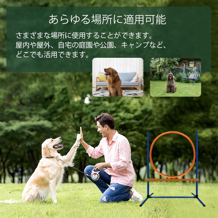 楽天市場】犬用アジリティ トレーニング 犬ドッグアジリテ 知育玩具