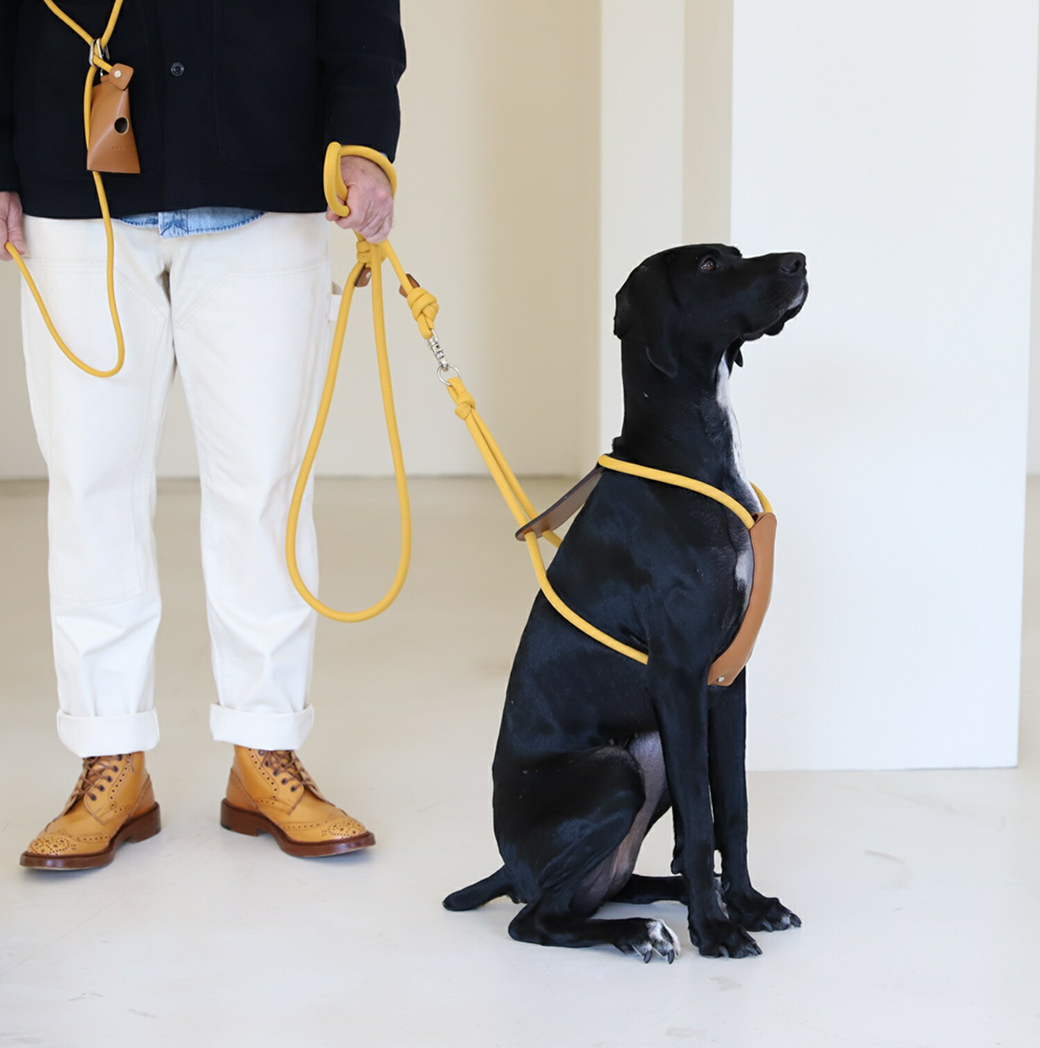 楽天市場】エッセンシャルハーネス 【HOZI】 ドッグハーネス 全犬種 犬