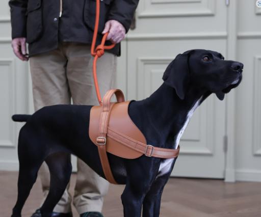 楽天市場】サドルハーネス 【HOZI】 犬 ハーネス ハンドル付き 小型犬