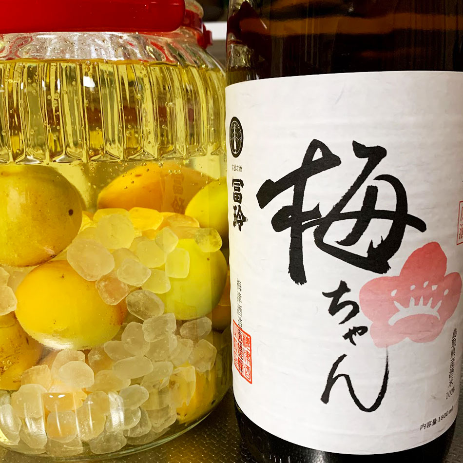 楽天市場】【日本酒でつける梅酒】 冨玲 梅ちゃん 梅酒用 日本酒