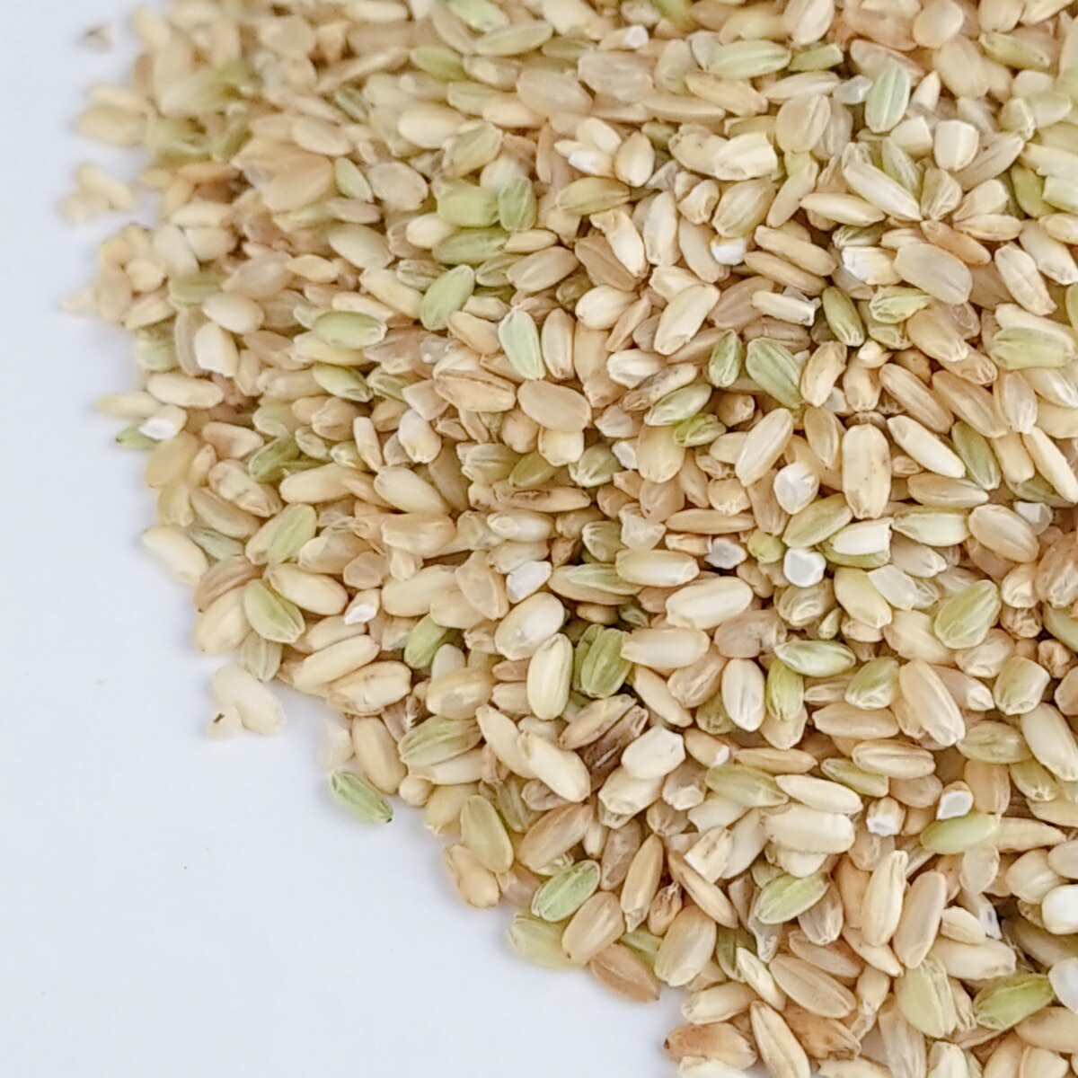 鳥のエサ 非食用 30kg くず米 くず米鳥の餌 鳥のエサ 非食用 30kg