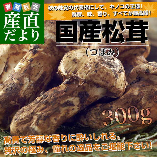 松茸 北海道 300g ① 国産 北海道 松茸 300g ① 北海道 松茸 300g ①