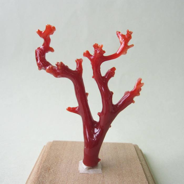 蛙 彫刻 置物 赤い山サンゴ珊瑚 蛙 彫刻 置物 赤い山サンゴ珊瑚