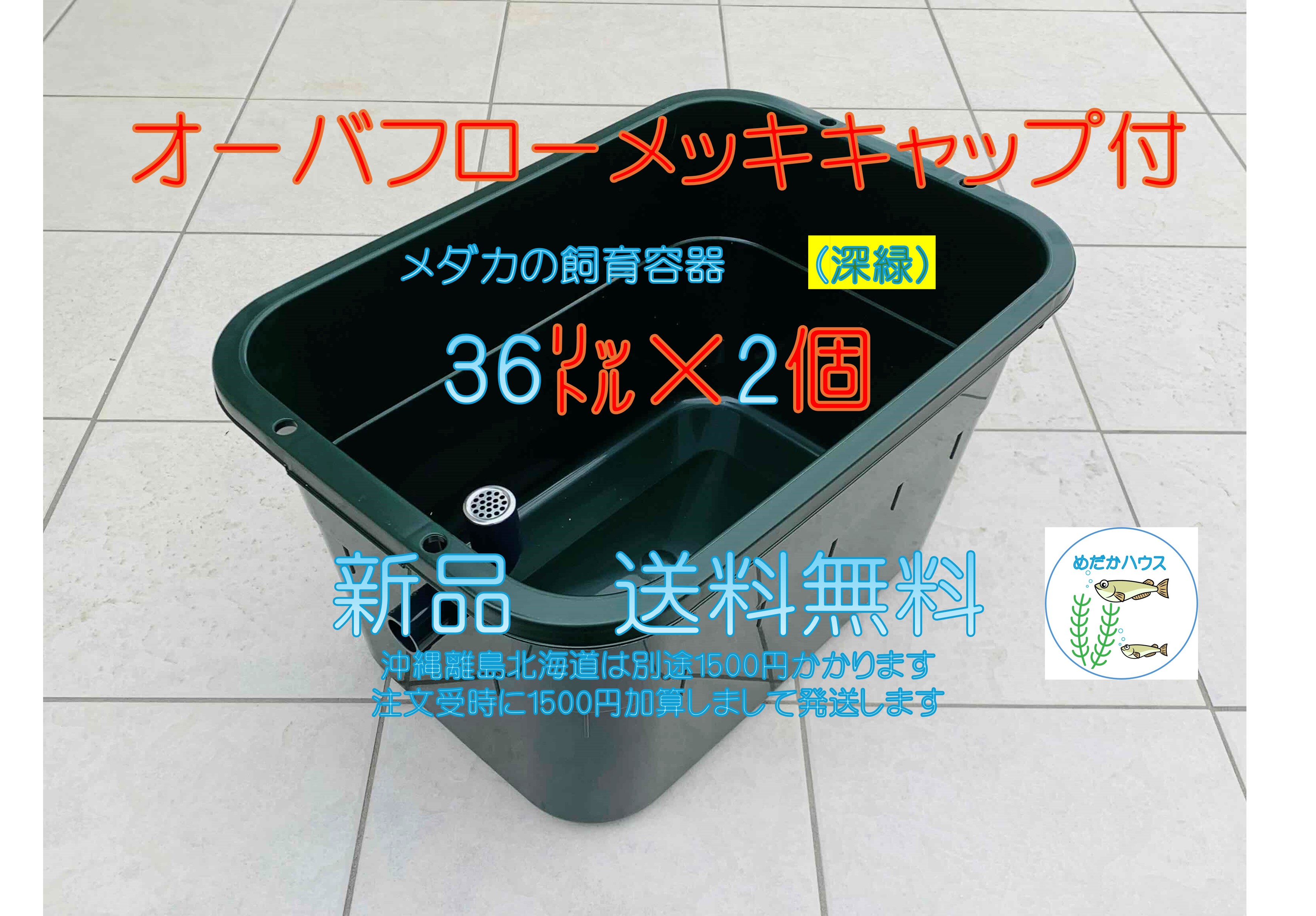 楽天市場】メダカ飼育ケース深緑36L オーバーフローメッキフィルター