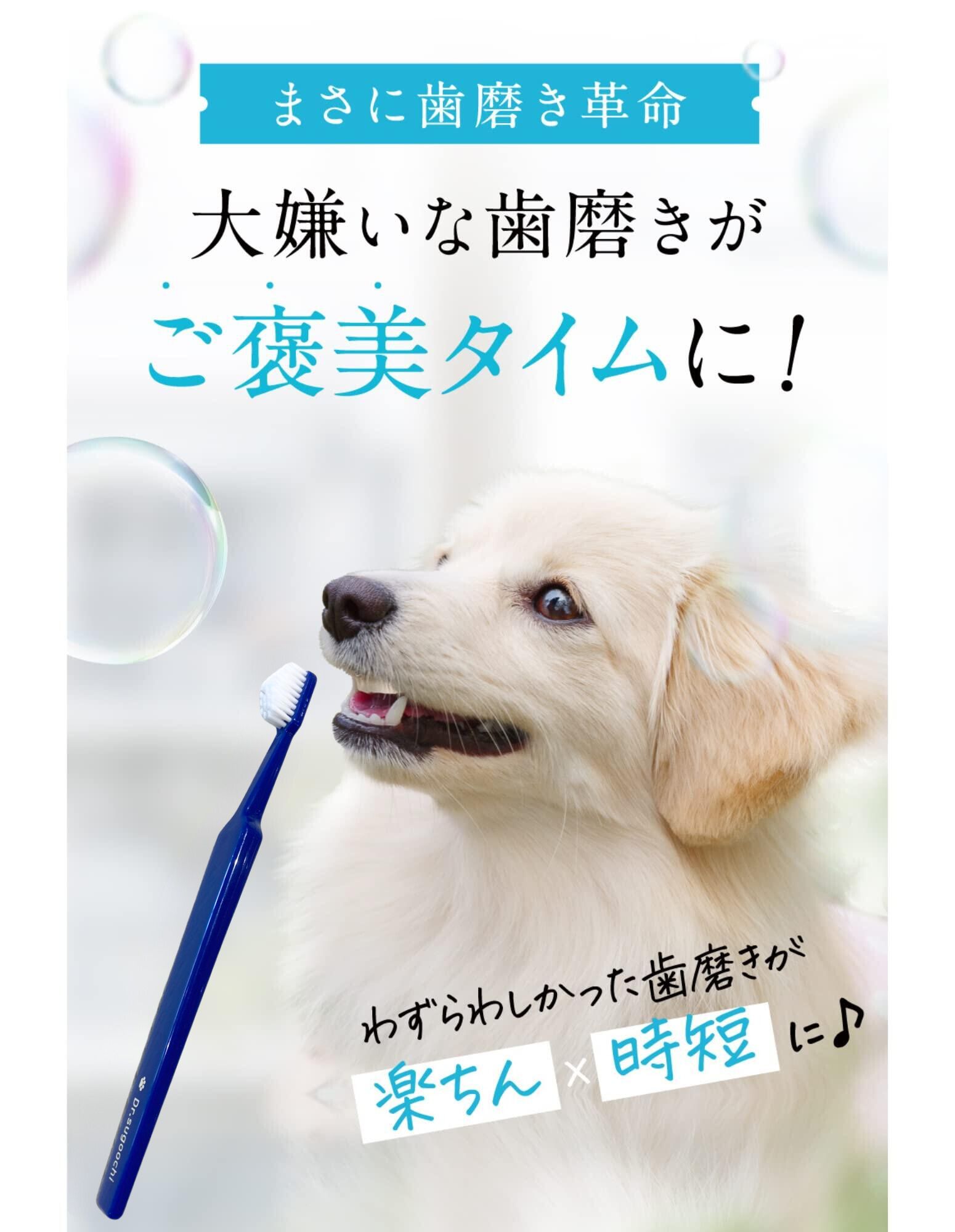楽天市場】ドクタースゴオチ 犬 歯ブラシ 柔らかい 犬 歯磨き デンタル