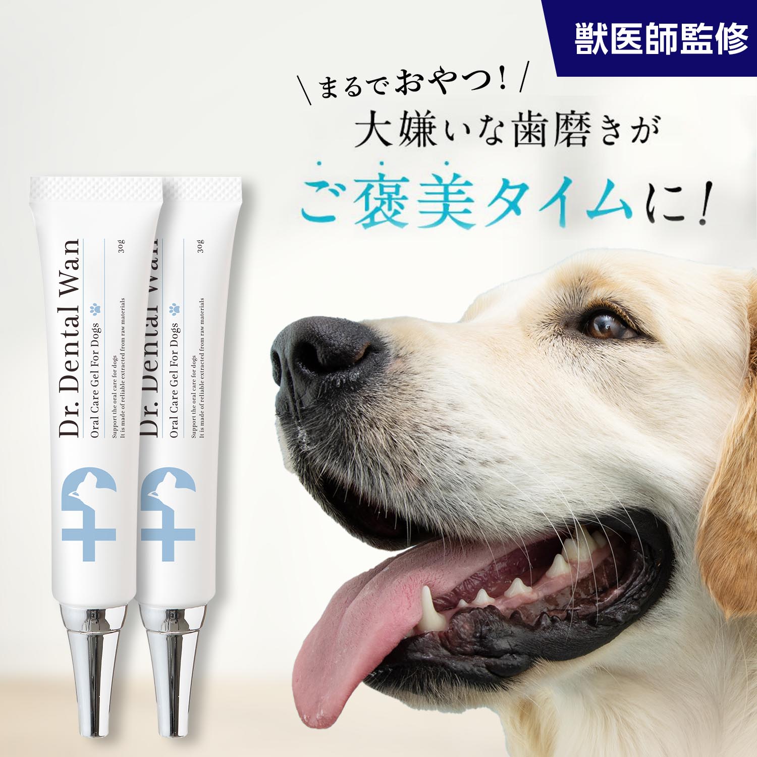 Dr. Dental Wan 30g デンタルケア用品2個セット スプーン付き SALE