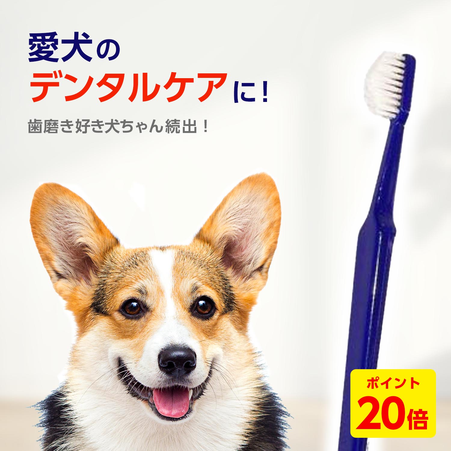 楽天市場】カンデル KANDEL 15本入り 犬 歯磨き ガム 歯垢 デンタル