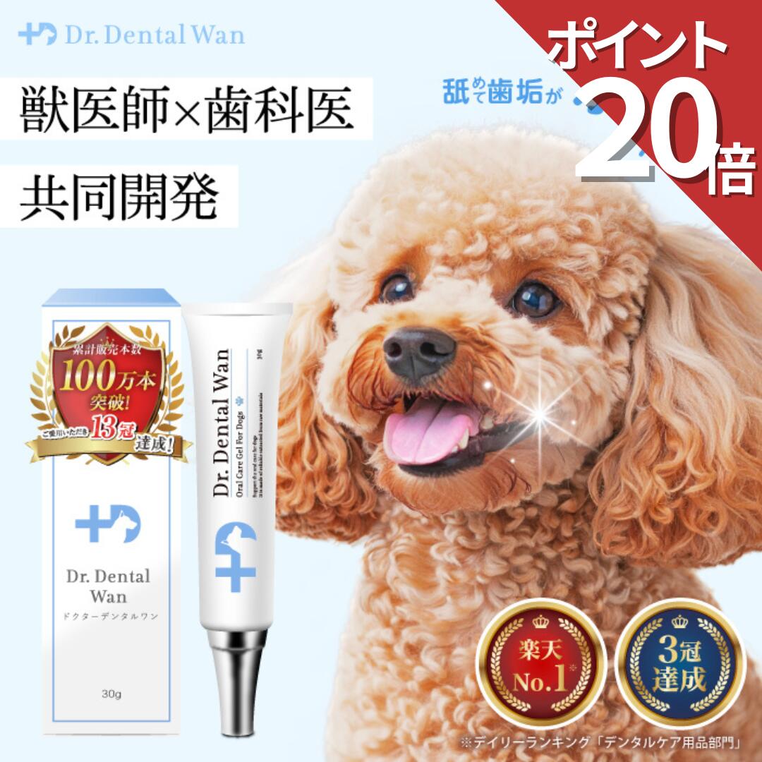 Dr.Dental Wan 2本歯ブラシセット 30g 一本使用品 【公式通販】