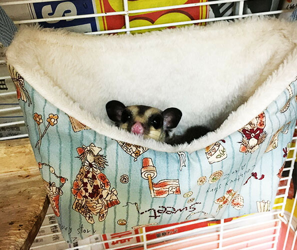 楽天市場】『 モモンガママのポケット寝袋 』 ※手作り商品の為、色や柄