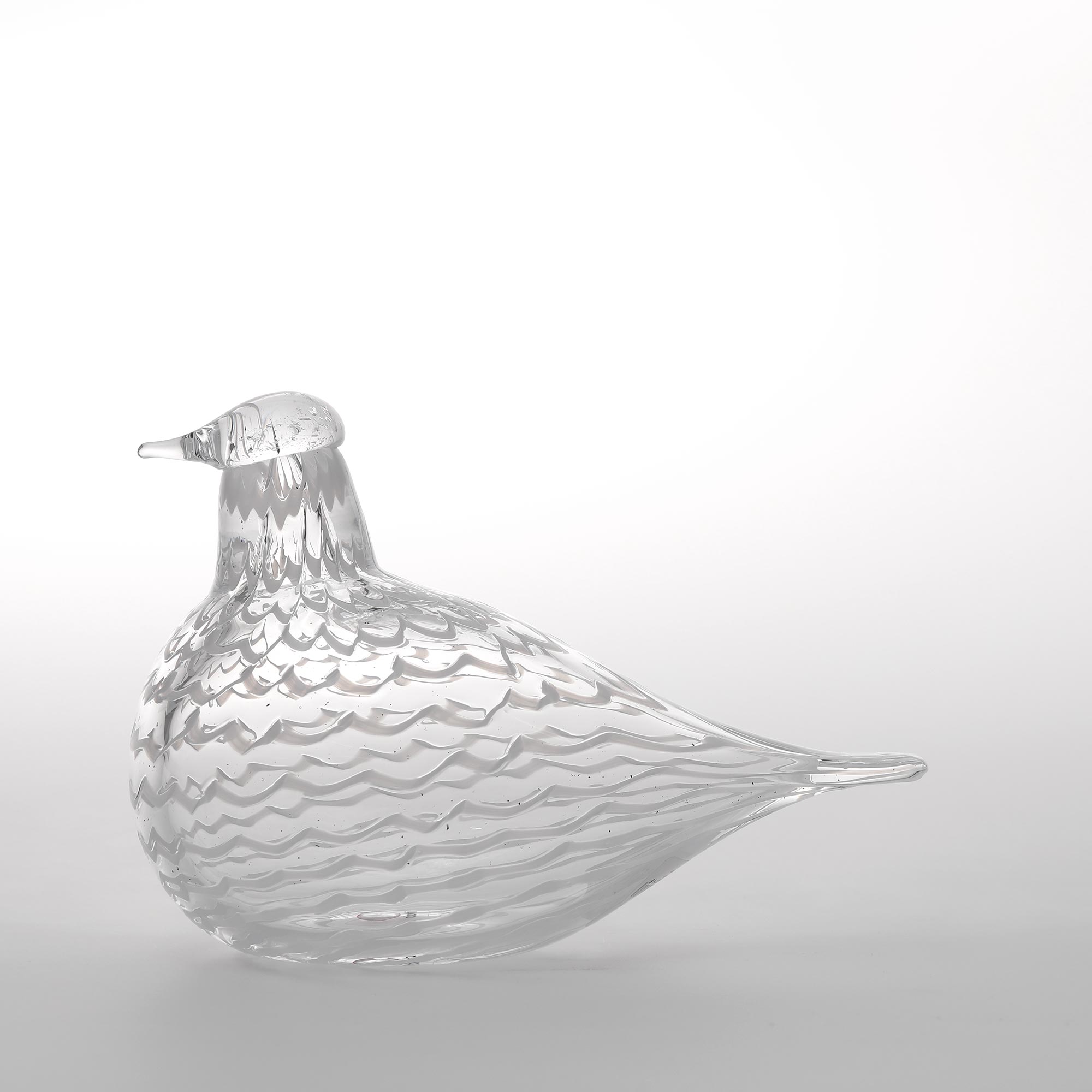 イッタラ オイバトイッカ / Dotterel バード 234-8013_1.jpg