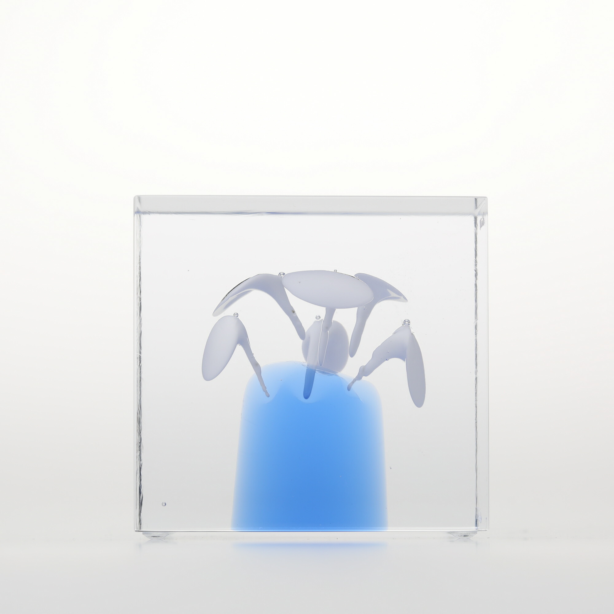 楽天市場】【No.276】イッタラ / アニュアルキューブ 2024 [iittala