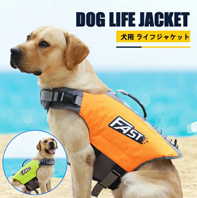 楽天市場】イージードッグ ライフジャケット sの通販