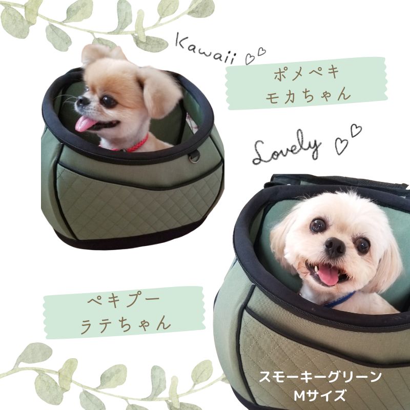 楽天市場】【 新色】 送料無料【ポイント5倍】DAISUKI ダイスキ