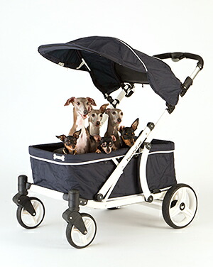 楽天市場】【正規販売店】ピッコロカーネ クレア 耐荷重100kg 大型犬