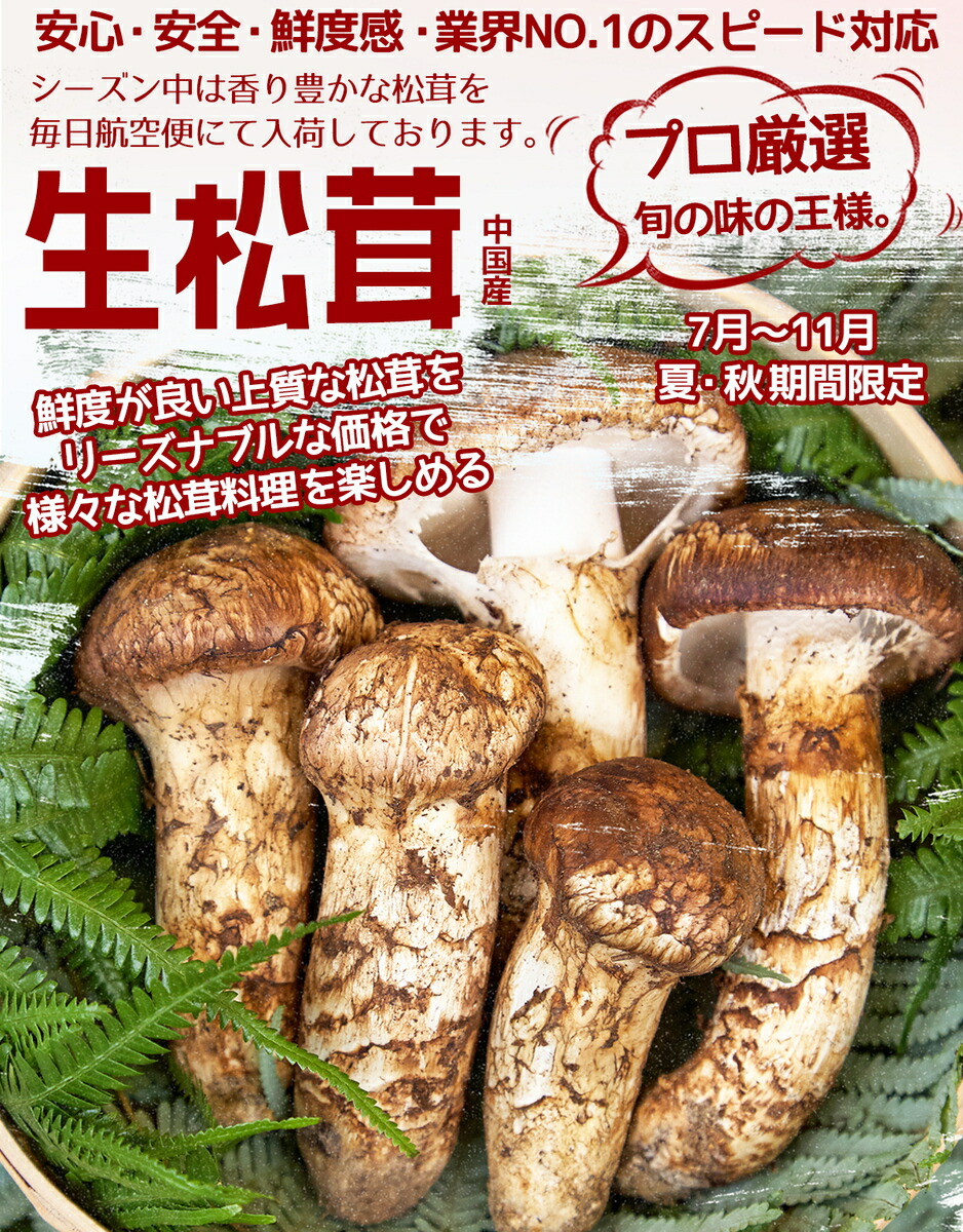 松茸 北海道 800g 訳あり 国産 松茸 北海道 800g 訳あり 送料込 ②