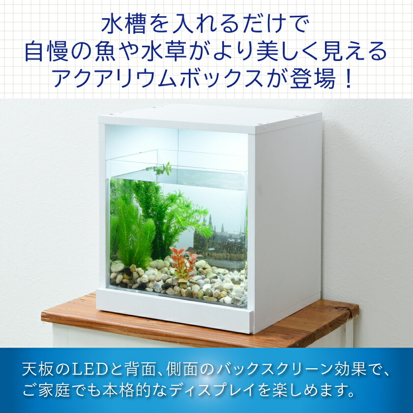 楽天市場】【増設用】 お部屋に小さな水族館 キューブボックスα アクア