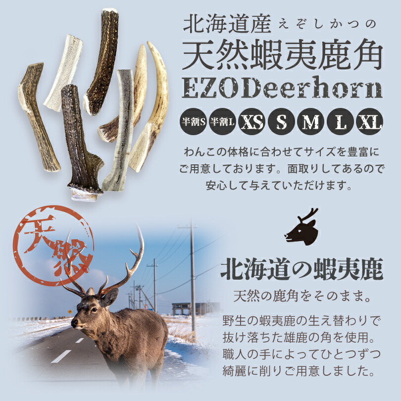 S*i様 鹿の角 蝦夷鹿 エゾシカ 中型 クリスマスセール価格 蝦夷鹿