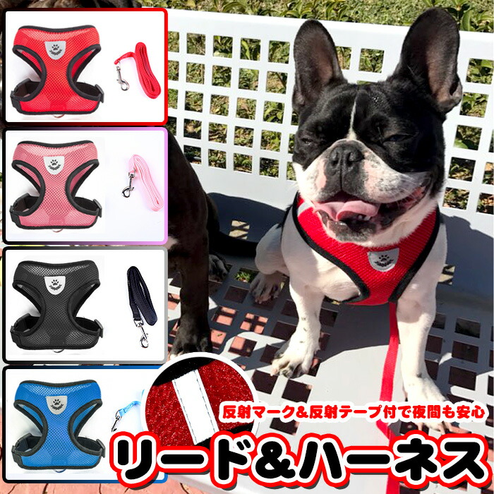 楽天市場】ルイス ドッグ ハーネスの通販