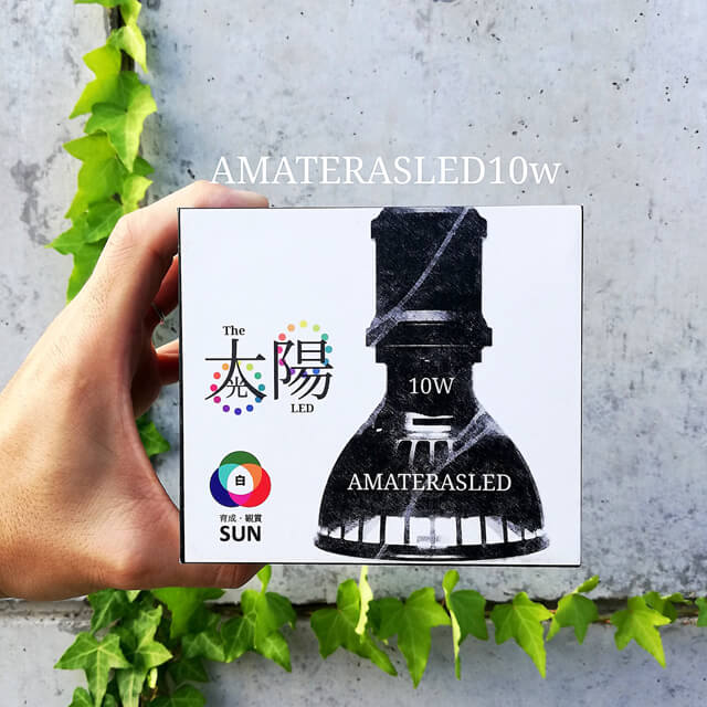 超激レア AMATERASLED 10W LEDライト 4個セット 超お買い得 超激レア