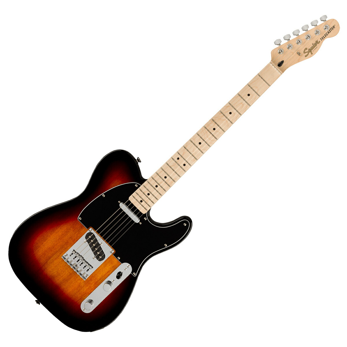 楽天市場】Squier by Fender Affinity Series Telecaster Maple