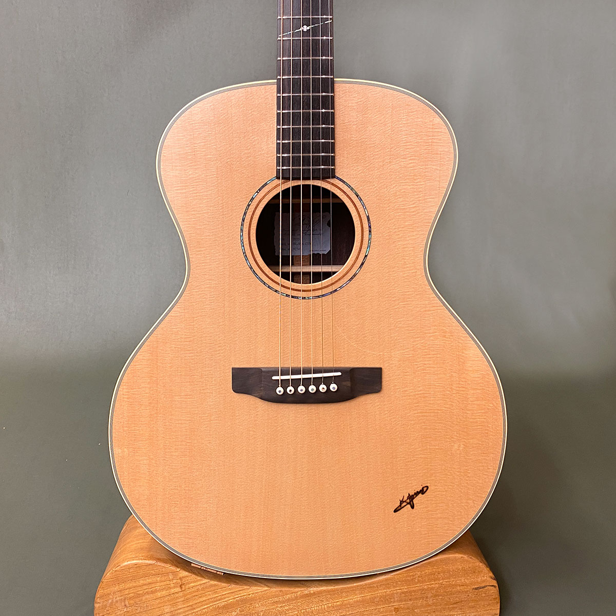 楽天市場】【新品】K.ヤイリ BL-95 K. Yairi BL-95A N SGV510搭載