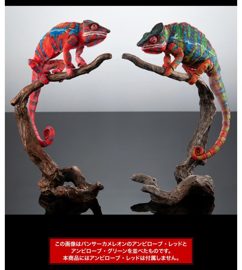 いきもの大図鑑プレミアム パンサーカメレオン アンビローブ・グリーン