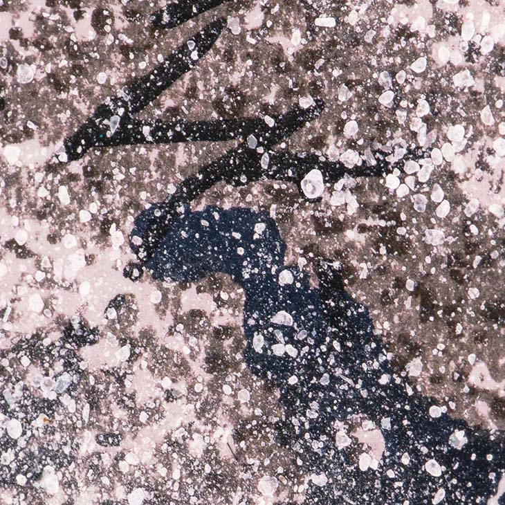 宮本秋風ジグレー幽玄の社額付き