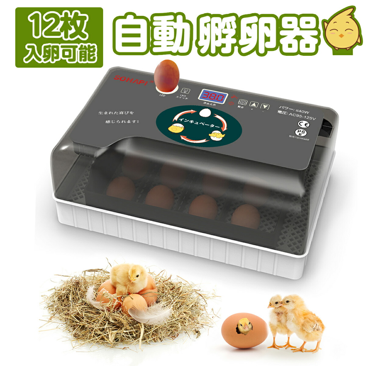 楽天市場】【5%OFF＆ポイント2倍】自動孵卵器 大容量 12枚入卵 恒温