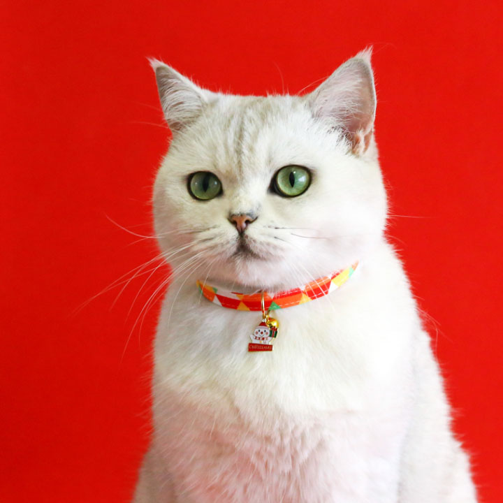 楽天市場】首輪 猫 小型犬 クリスマス クリスマスリース クリスマス