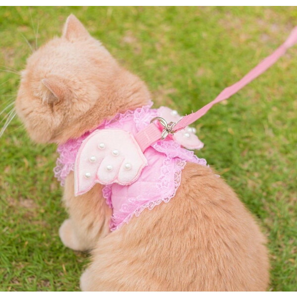 楽天市場】猫用 ピンクの天使 レース ハーネス リード付 胴輪 ペット