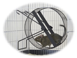 ✳︎土日限定価格✳︎サンコー イージーホーム メタルサイレント