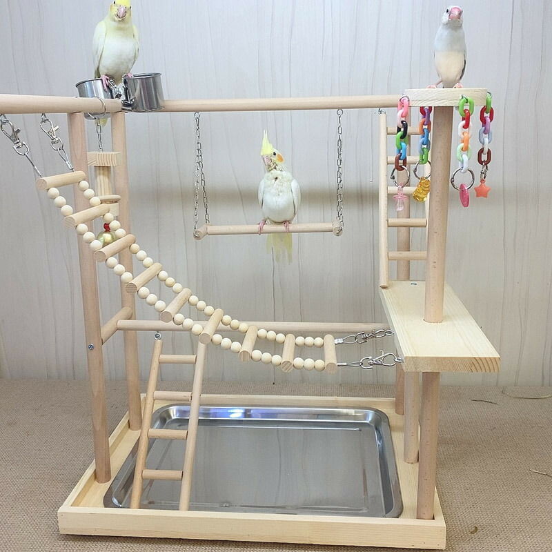 ぽぽみ】ことりのおおきなあそびば ぽぽみ】ことりのおおきなあそびば