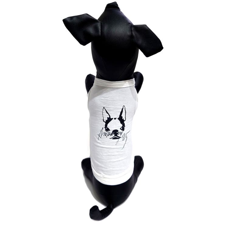 楽天市場】【10％OFFクーポン！11/27(木)1:59まで】CRYSTAL BALL 25th