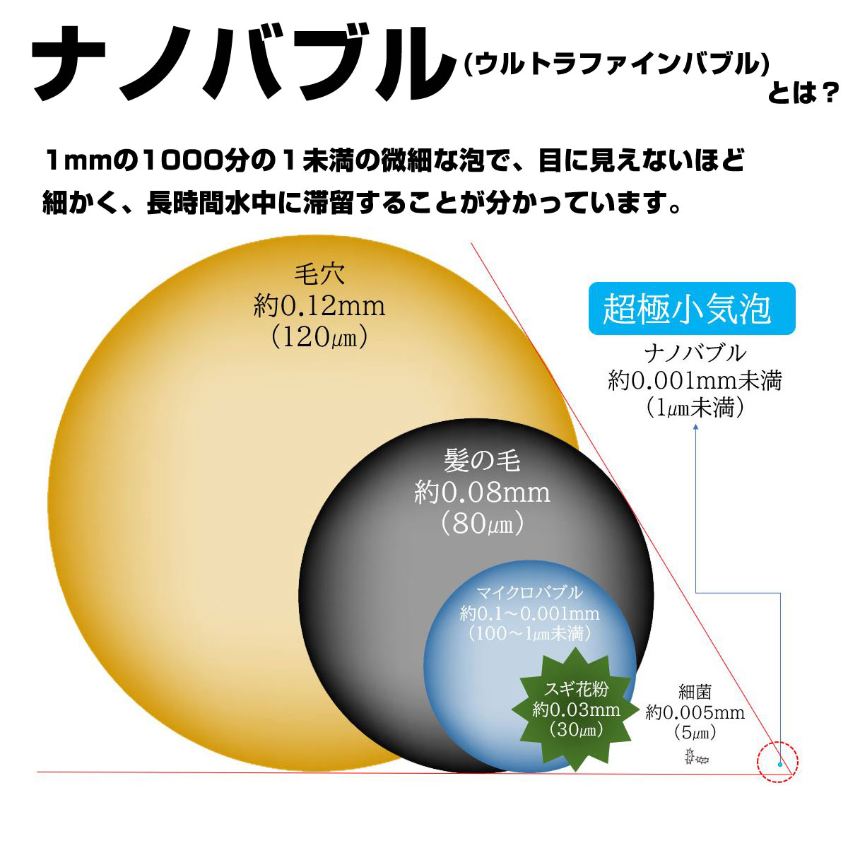 マイクロバブルB-WASH-ST ターレスマイクロバブル ターレス社マイクロ