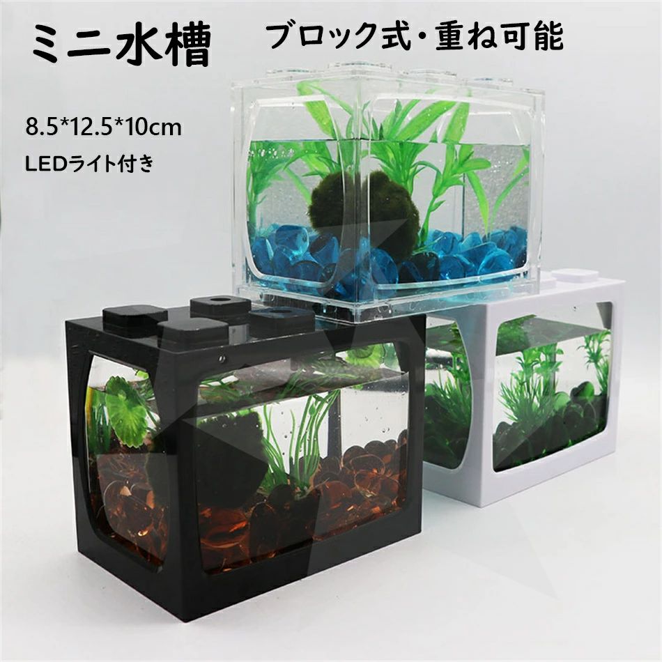 楽天市場】ミニ水槽 ブロック水族館 水槽セット アクアリウム 魚飼育