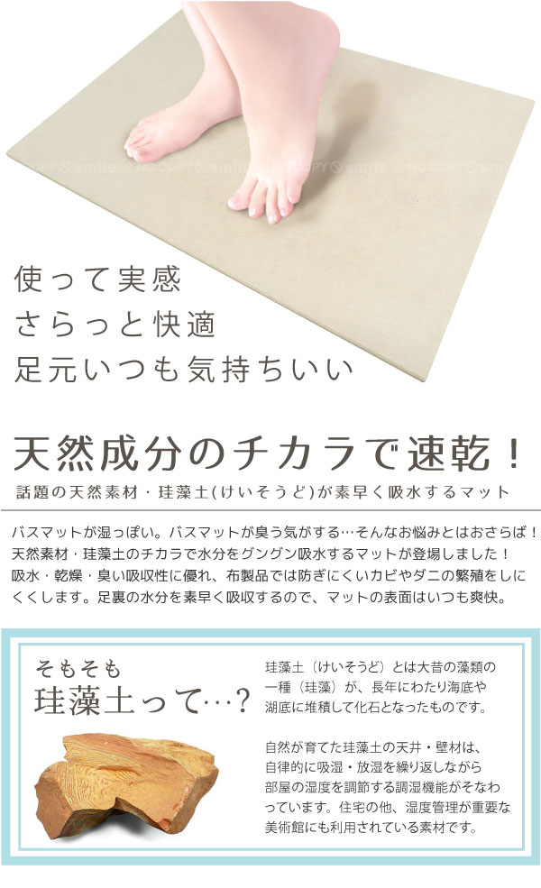 楽天市場】さらっと快適 足さら珪藻土バスマット 70022/珪藻土