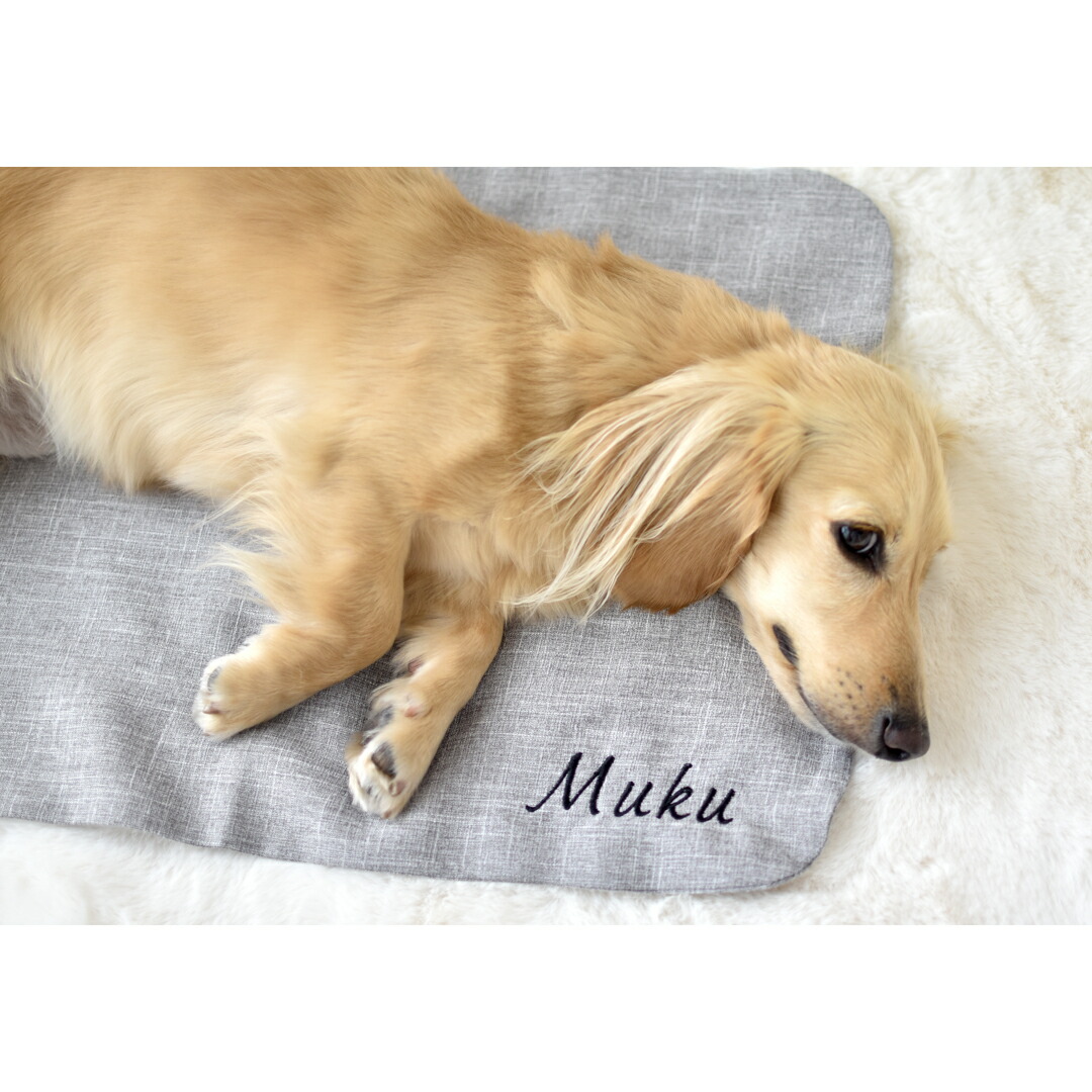 楽天市場】newカフェマット 名入れ 刺 カフェマット コンパクト ペット