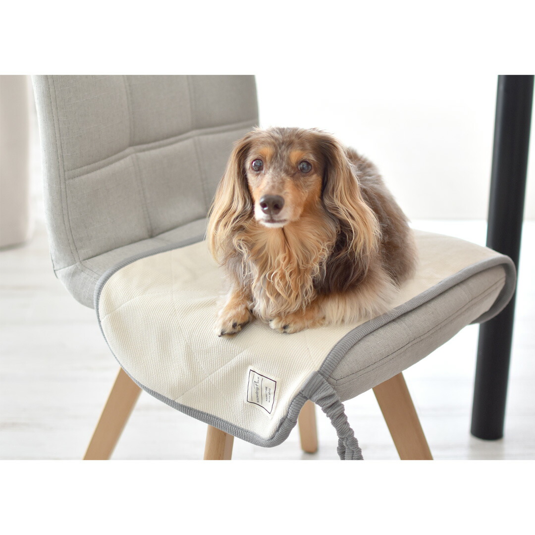 楽天市場】カフェマット ペット用 プリント名入れ マナー 敷物 カフェ