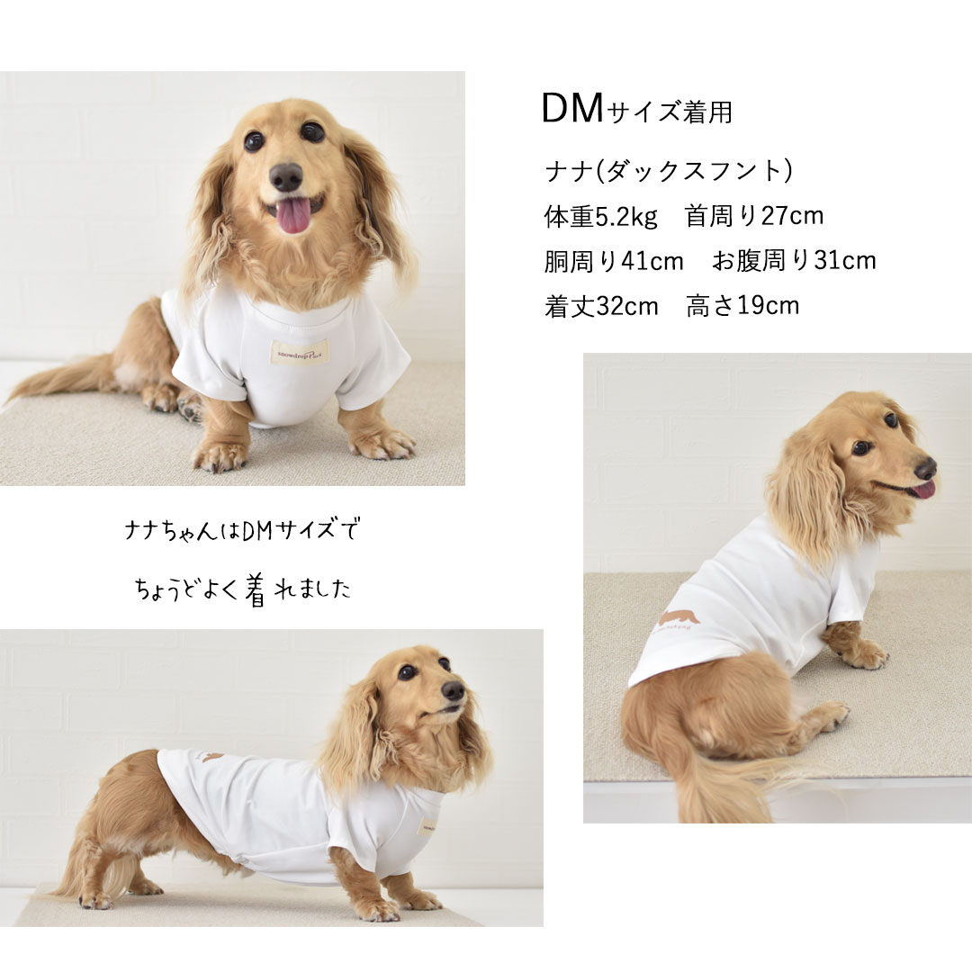 楽天市場】お揃い シンプルダックスフレンチTシャツ ダックス 名入れ