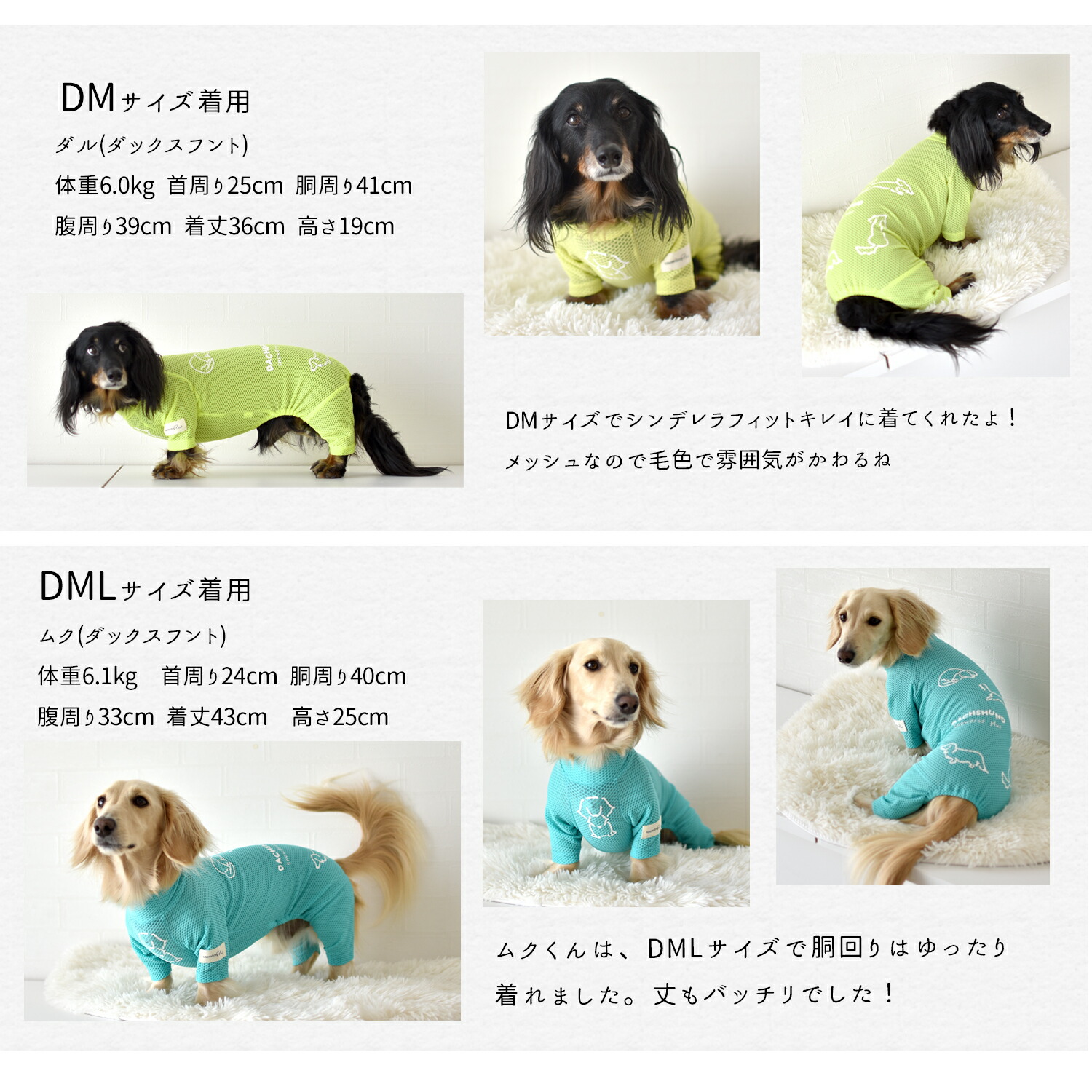 楽天市場】メッシュカバーオール ダックスサイズ 水着 ラッシュガード