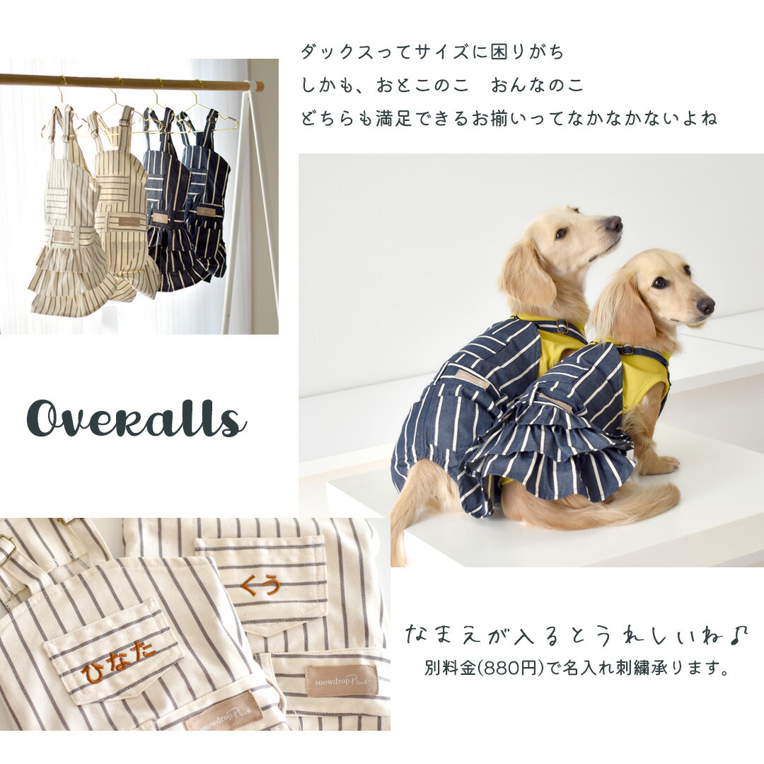 楽天市場】(在庫処分セールの為返品交換不可)ダックスサイズ