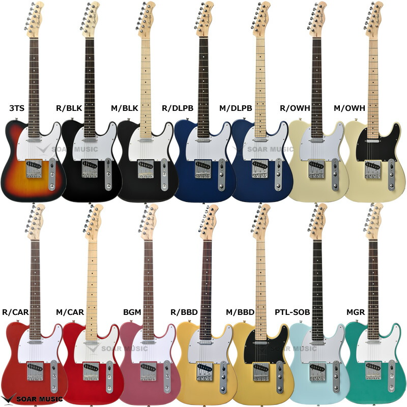 Bacchus BTE-1/R 3TS テレキャスター ケース付き BTE-1R/3TS (Bacchus)