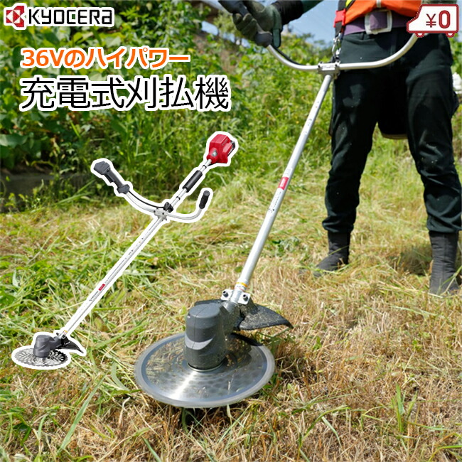 shima33【FOIL5枚セット】薄暗い裏通り 迷路庭園 草萌ゆる玄関 shima33