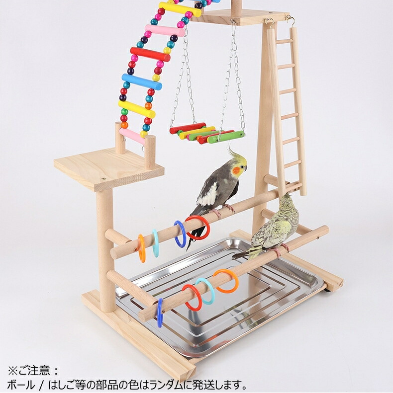 天然木白木卓上横タイプバードジム