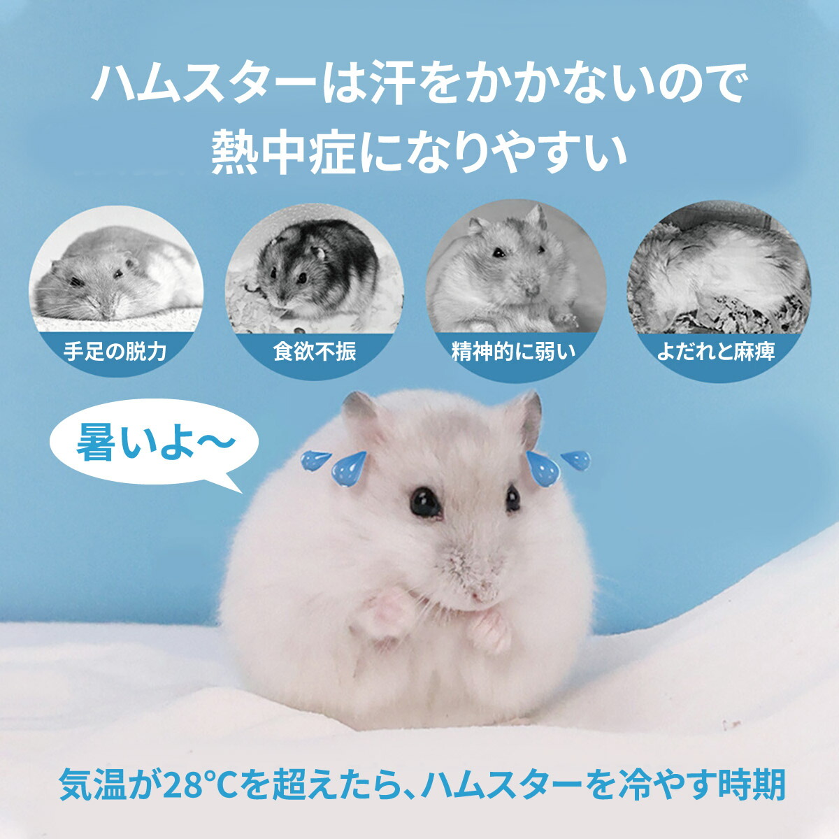 楽天市場】ハムスター ハウス サマーハウス 涼しい 冷却 ケージ 可愛い