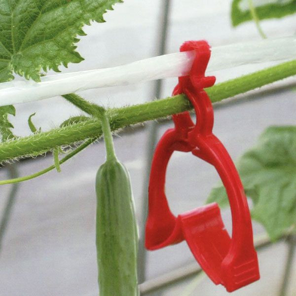 楽天市場】(500個入) きゅうり棚線クリップ さやか ナスニックス